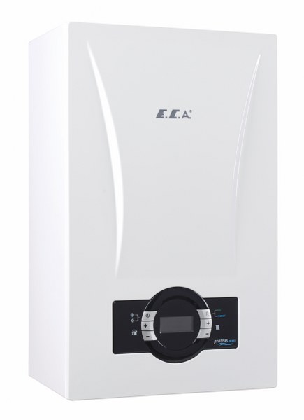 ECA Image